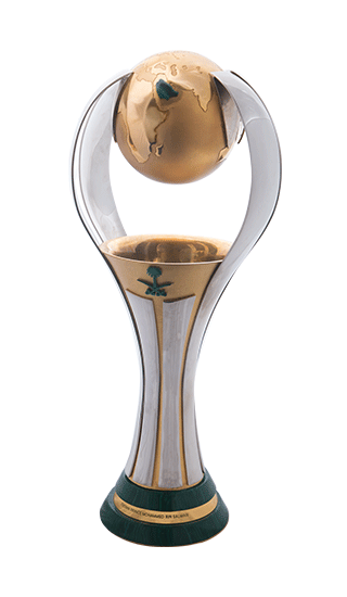  穆罕默德·本·萨勒曼王子职业联赛杯 